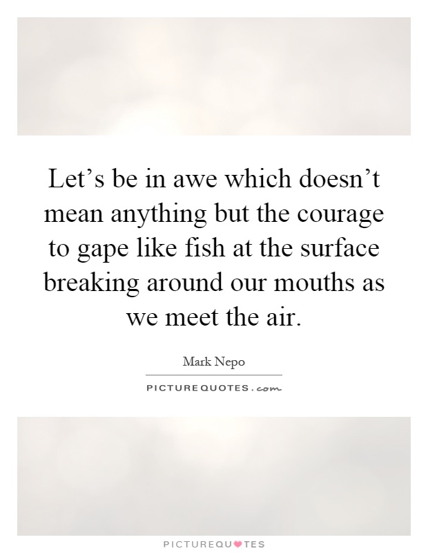 Let's be in awe which doesn't mean anything but the courage to gape like fish at the surface breaking around our mouths as we meet the air Picture Quote #1