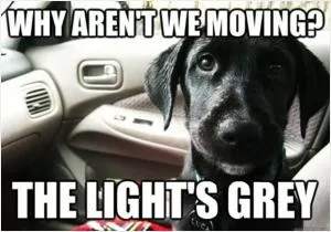 Why aren’t we moving? The light’s grey Picture Quote #1