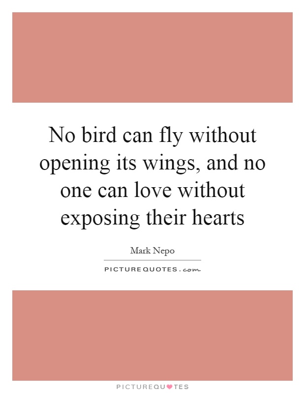 No bird can fly without opening its wings, and no one can love without exposing their hearts Picture Quote #1