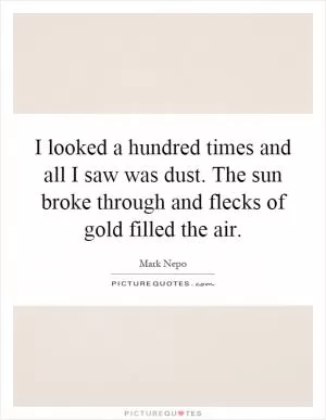I looked a hundred times and all I saw was dust. The sun broke through and flecks of gold filled the air Picture Quote #1