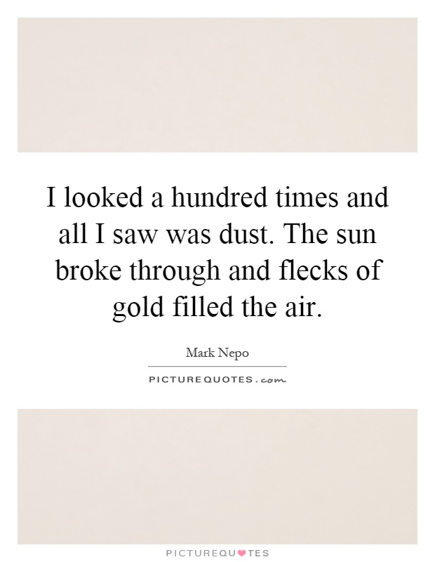 I looked a hundred times and all I saw was dust. The sun broke through and flecks of gold filled the air Picture Quote #1