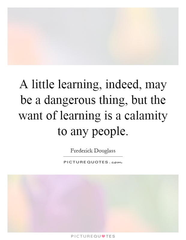 A little learning, indeed, may be a dangerous thing, but the want of learning is a calamity to any people Picture Quote #1