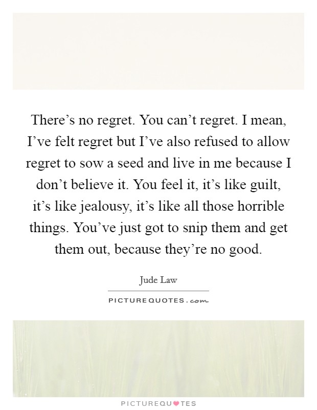 There's no regret. You can't regret. I mean, I've felt regret but I've also refused to allow regret to sow a seed and live in me because I don't believe it. You feel it, it's like guilt, it's like jealousy, it's like all those horrible things. You've just got to snip them and get them out, because they're no good. Picture Quote #1