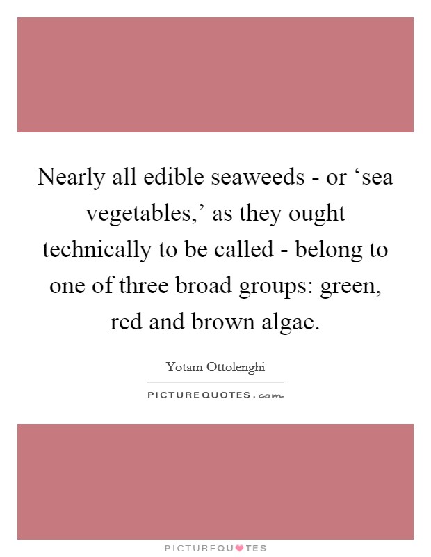 Nearly all edible seaweeds - or ‘sea vegetables,' as they ought technically to be called - belong to one of three broad groups: green, red and brown algae. Picture Quote #1