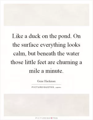 Like a duck on the pond. On the surface everything looks calm, but beneath the water those little feet are churning a mile a minute Picture Quote #1