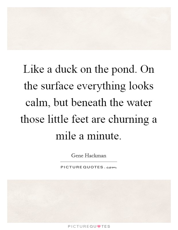 Like a duck on the pond. On the surface everything looks calm, but beneath the water those little feet are churning a mile a minute. Picture Quote #1