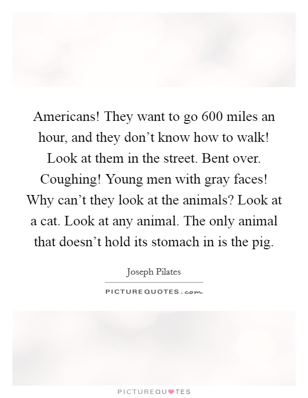 Americans! They want to go 600 miles an hour, and they don't know how to walk! Look at them in the street. Bent over. Coughing! Young men with gray faces! Why can't they look at the animals? Look at a cat. Look at any animal. The only animal that doesn't hold its stomach in is the pig. Picture Quote #1