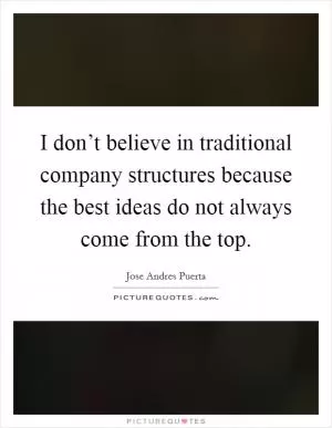 I don’t believe in traditional company structures because the best ideas do not always come from the top Picture Quote #1