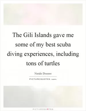 The Gili Islands gave me some of my best scuba diving experiences, including tons of turtles Picture Quote #1