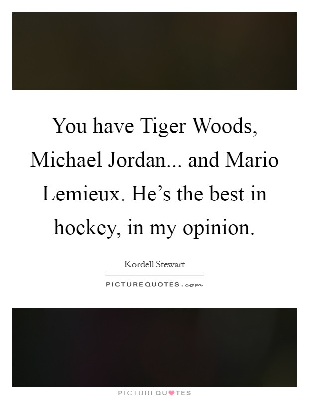 You have Tiger Woods, Michael Jordan... and Mario Lemieux. He's the best in hockey, in my opinion. Picture Quote #1