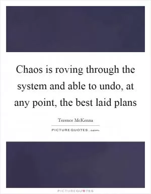 Chaos is roving through the system and able to undo, at any point, the best laid plans Picture Quote #1