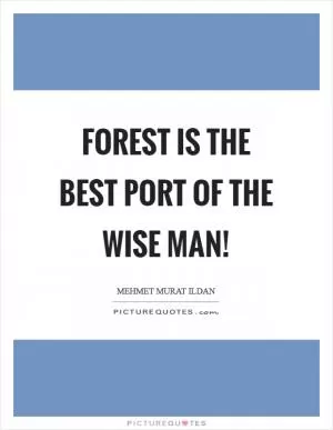 Forest is the best port of the wise man! Picture Quote #1