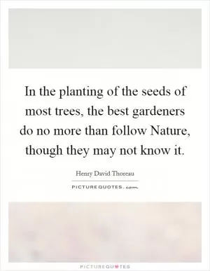 In the planting of the seeds of most trees, the best gardeners do no more than follow Nature, though they may not know it Picture Quote #1