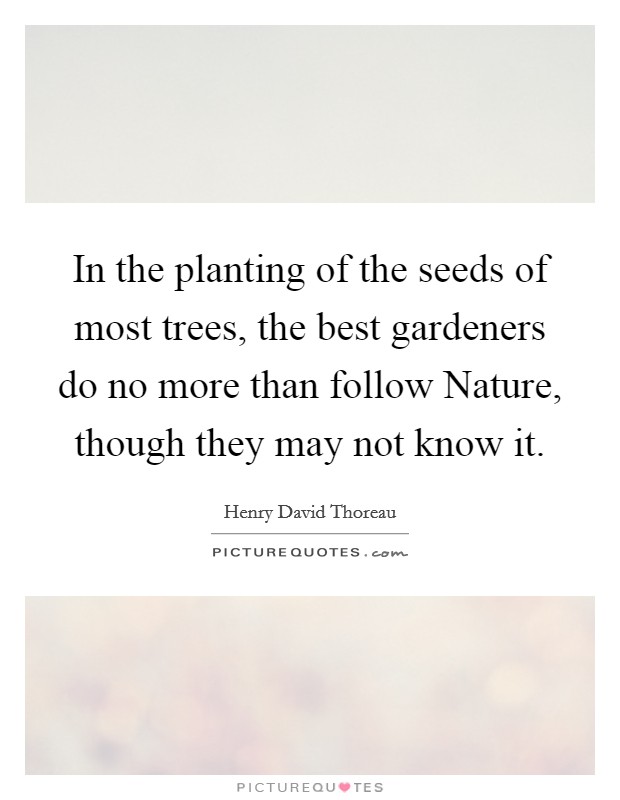 In the planting of the seeds of most trees, the best gardeners do no more than follow Nature, though they may not know it. Picture Quote #1