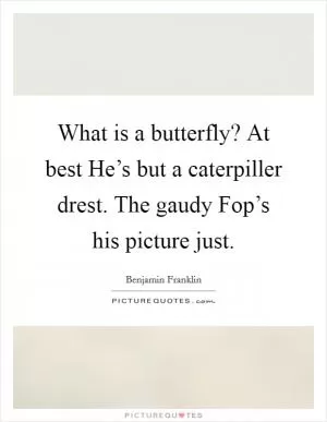 What is a butterfly? At best He’s but a caterpiller drest. The gaudy Fop’s his picture just Picture Quote #1