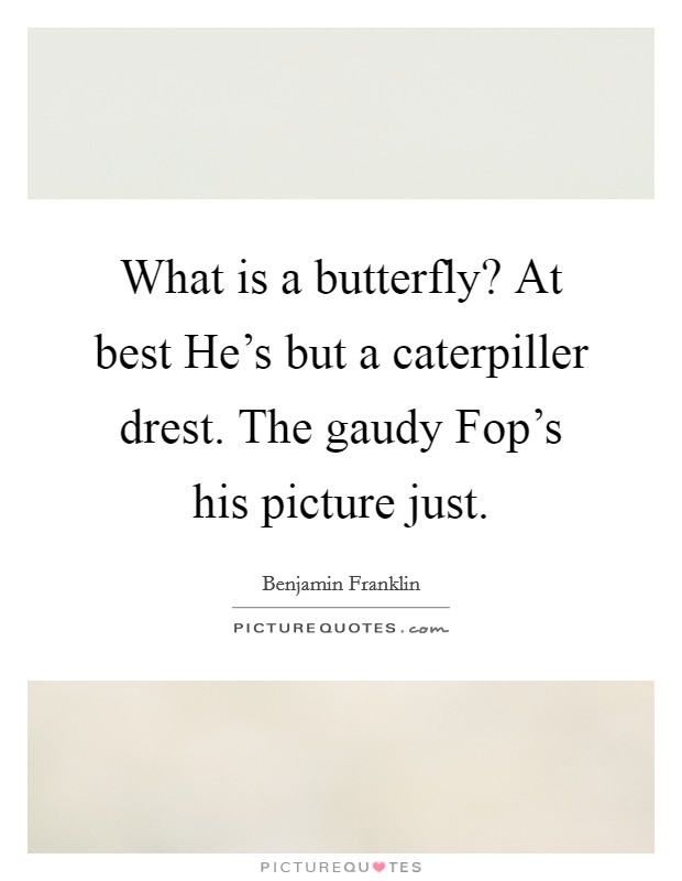 What is a butterfly? At best He's but a caterpiller drest. The gaudy Fop's his picture just. Picture Quote #1