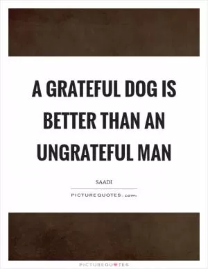A grateful dog is better than an ungrateful man Picture Quote #1