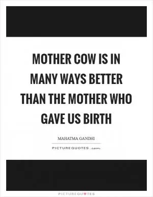 Mother cow is in many ways better than the mother who gave us birth Picture Quote #1