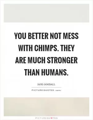 You better not mess with chimps. They are much stronger than humans Picture Quote #1