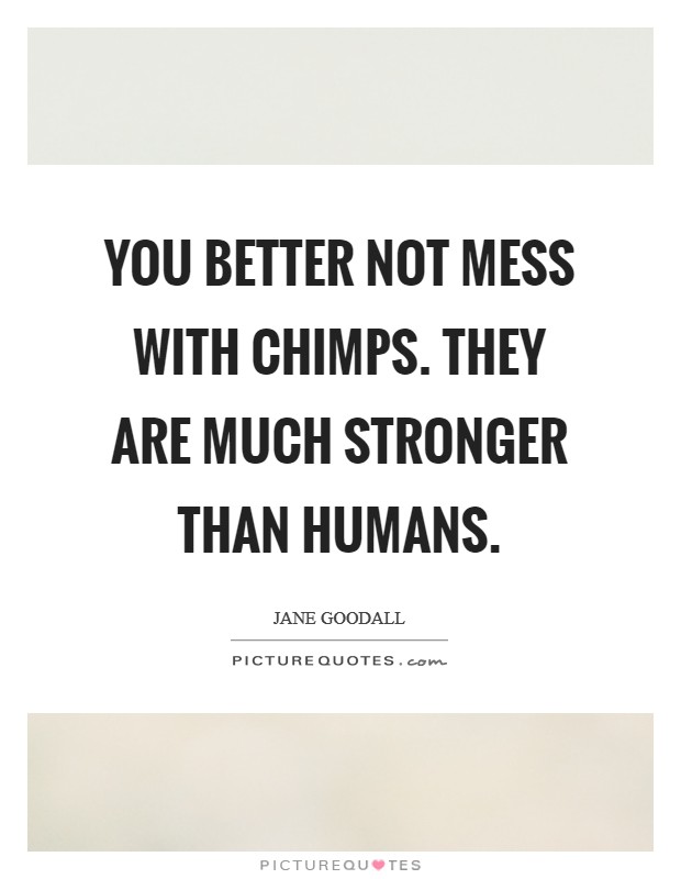 You better not mess with chimps. They are much stronger than humans. Picture Quote #1