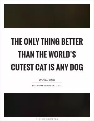 The only thing better than the world’s cutest cat is any dog Picture Quote #1