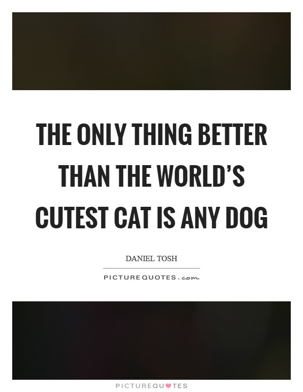 The only thing better than the world's cutest cat is any dog Picture Quote #1