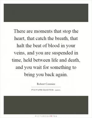 There are moments that stop the heart, that catch the breath, that halt the beat of blood in your veins, and you are suspended in time, held between life and death, and you wait for something to bring you back again Picture Quote #1