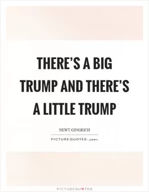 There’s a Big Trump and there’s a Little Trump Picture Quote #1