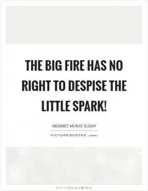 The big fire has no right to despise the little spark! Picture Quote #1