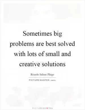 Sometimes big problems are best solved with lots of small and creative solutions Picture Quote #1