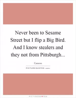 Never been to Sesame Street but I flip a Big Bird. And I know stealers and they not from Pittsburgh Picture Quote #1