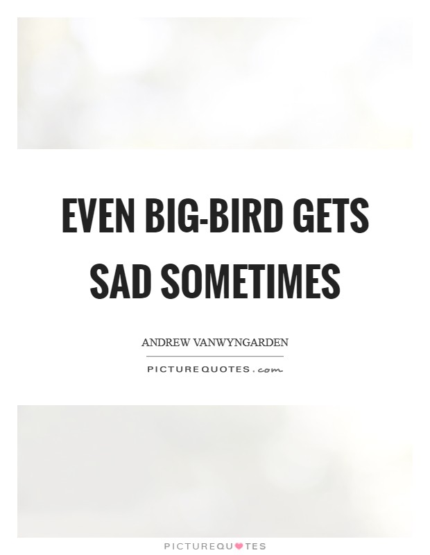 Even big-bird gets sad sometimes Picture Quote #1