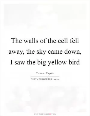 The walls of the cell fell away, the sky came down, I saw the big yellow bird Picture Quote #1
