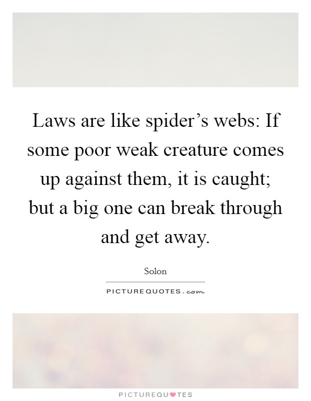 Laws are like spider's webs: If some poor weak creature comes up against them, it is caught; but a big one can break through and get away. Picture Quote #1