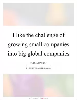 I like the challenge of growing small companies into big global companies Picture Quote #1