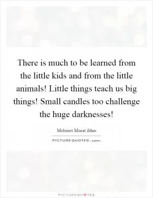 There is much to be learned from the little kids and from the little animals! Little things teach us big things! Small candles too challenge the huge darknesses! Picture Quote #1