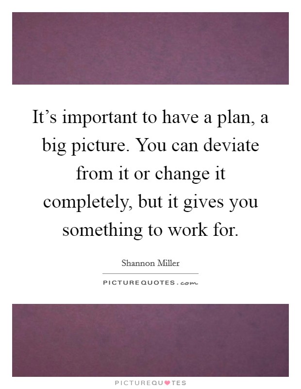 It's important to have a plan, a big picture. You can deviate from it or change it completely, but it gives you something to work for. Picture Quote #1