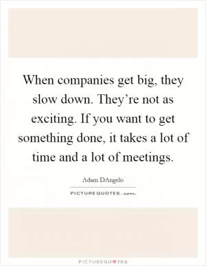 When companies get big, they slow down. They’re not as exciting. If you want to get something done, it takes a lot of time and a lot of meetings Picture Quote #1