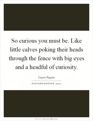 So curious you must be. Like little calves poking their heads through the fence with big eyes and a headful of curiosity Picture Quote #1