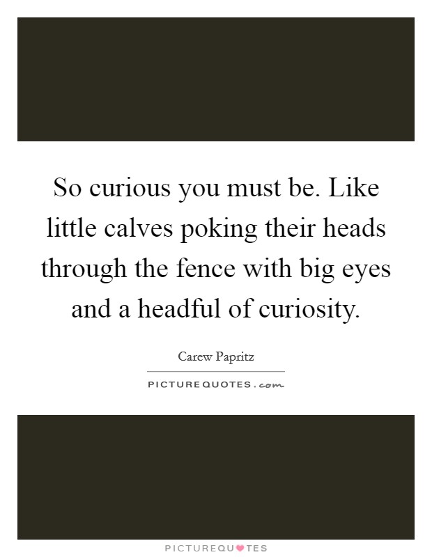So curious you must be. Like little calves poking their heads through the fence with big eyes and a headful of curiosity. Picture Quote #1
