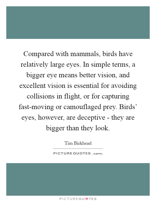 Compared with mammals, birds have relatively large eyes. In simple terms, a bigger eye means better vision, and excellent vision is essential for avoiding collisions in flight, or for capturing fast-moving or camouflaged prey. Birds' eyes, however, are deceptive - they are bigger than they look. Picture Quote #1