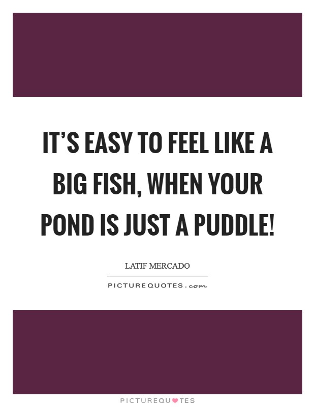 It's Easy To Feel Like A Big Fish, When Your Pond is Just A Puddle! Picture Quote #1