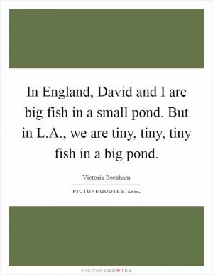 In England, David and I are big fish in a small pond. But in L.A., we are tiny, tiny, tiny fish in a big pond Picture Quote #1