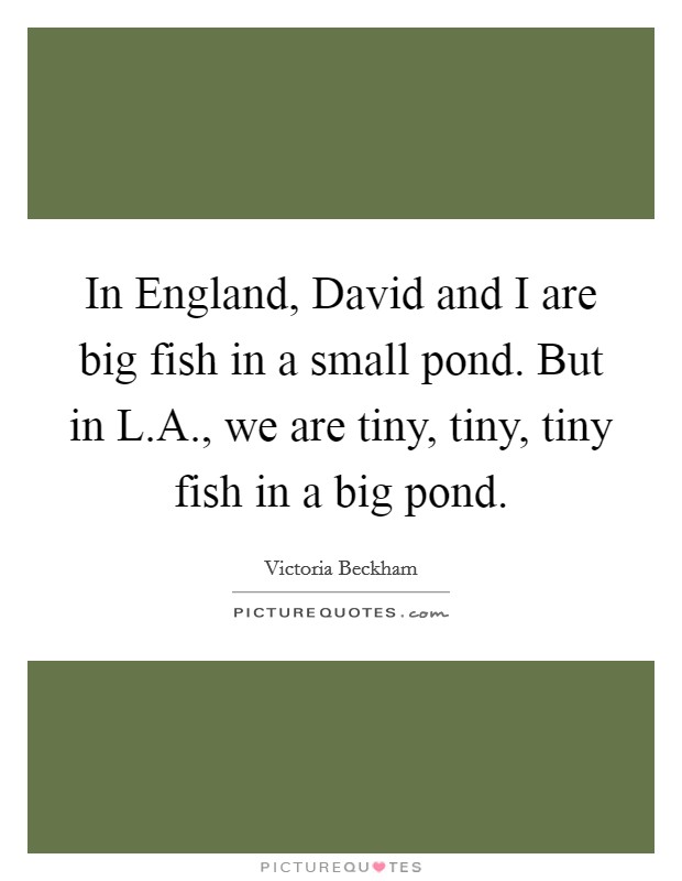 In England, David and I are big fish in a small pond. But in L.A., we are tiny, tiny, tiny fish in a big pond. Picture Quote #1