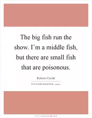 The big fish run the show. I’m a middle fish, but there are small fish that are poisonous Picture Quote #1