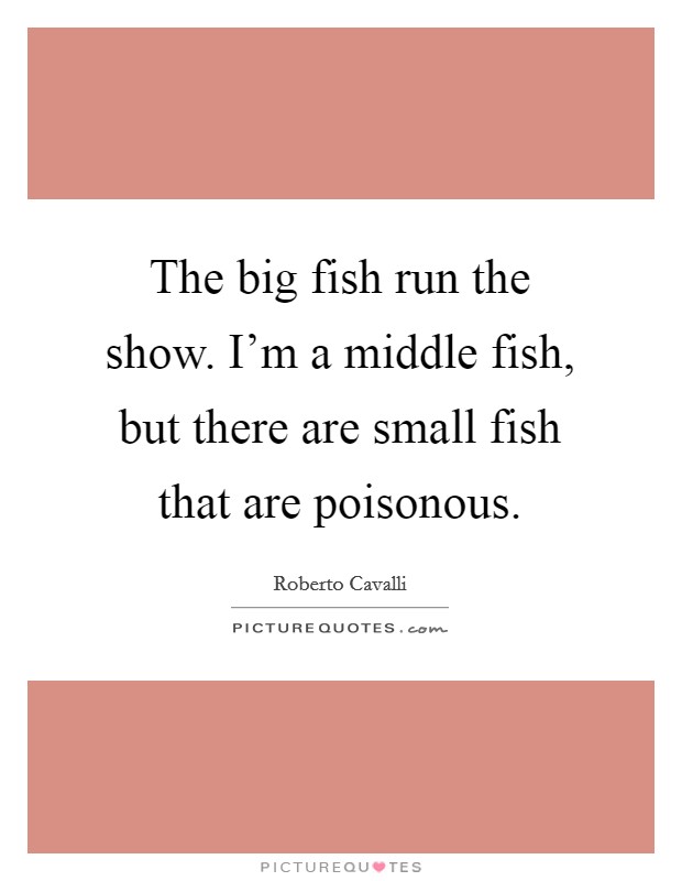 The big fish run the show. I'm a middle fish, but there are small fish that are poisonous. Picture Quote #1