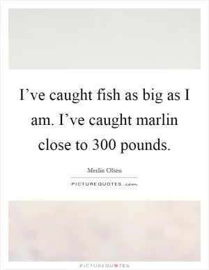 I’ve caught fish as big as I am. I’ve caught marlin close to 300 pounds Picture Quote #1