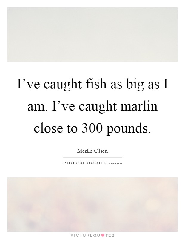I've caught fish as big as I am. I've caught marlin close to 300 pounds. Picture Quote #1