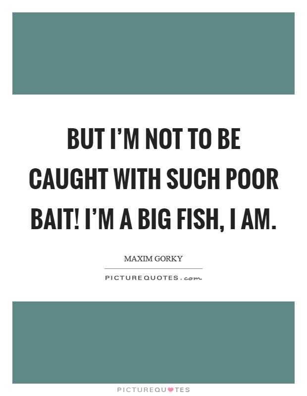 But I'm not to be caught with such poor bait! I'm a big fish, I am. Picture Quote #1