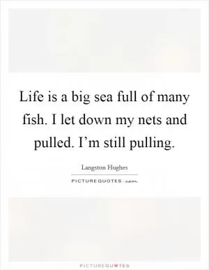 Life is a big sea full of many fish. I let down my nets and pulled. I’m still pulling Picture Quote #1